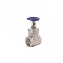Legend Valve 113-405 - 1'' T-751 S.S. GATE VALVE