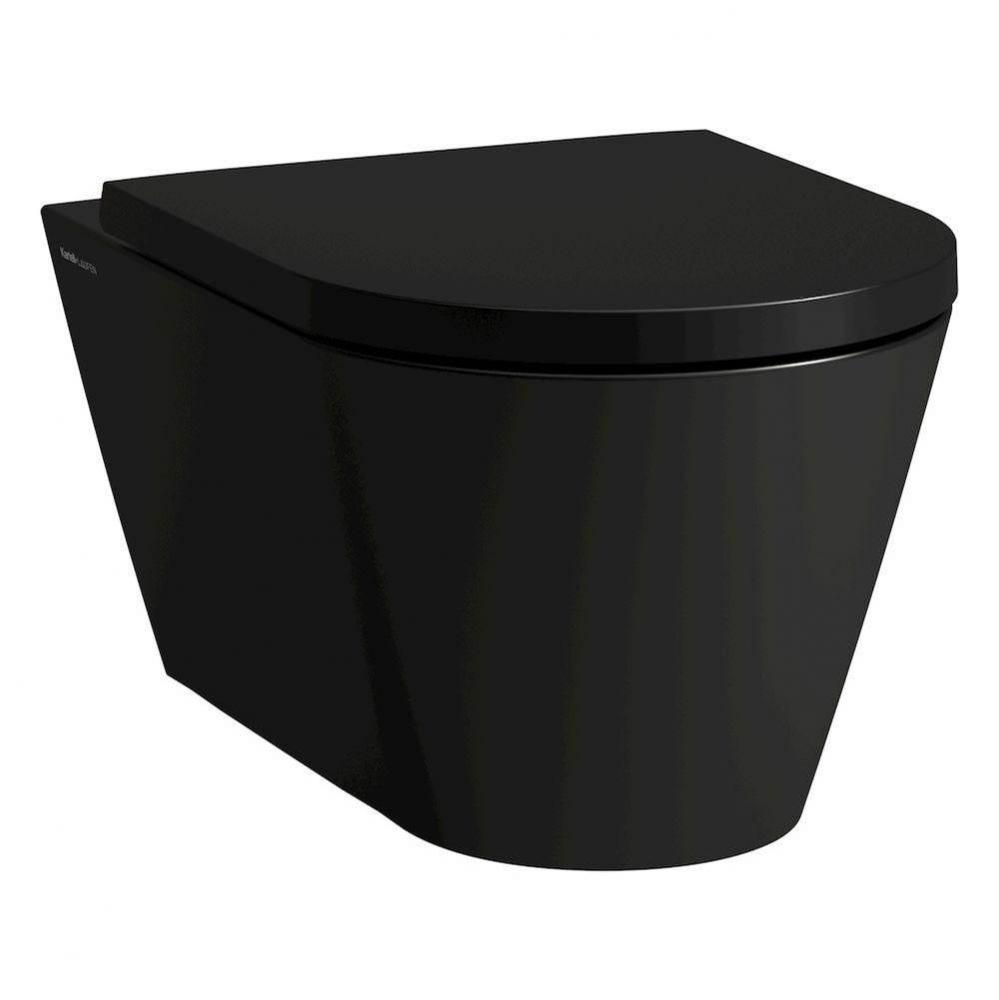 Wall hanging Water Closet Bowl, rimless, washdown