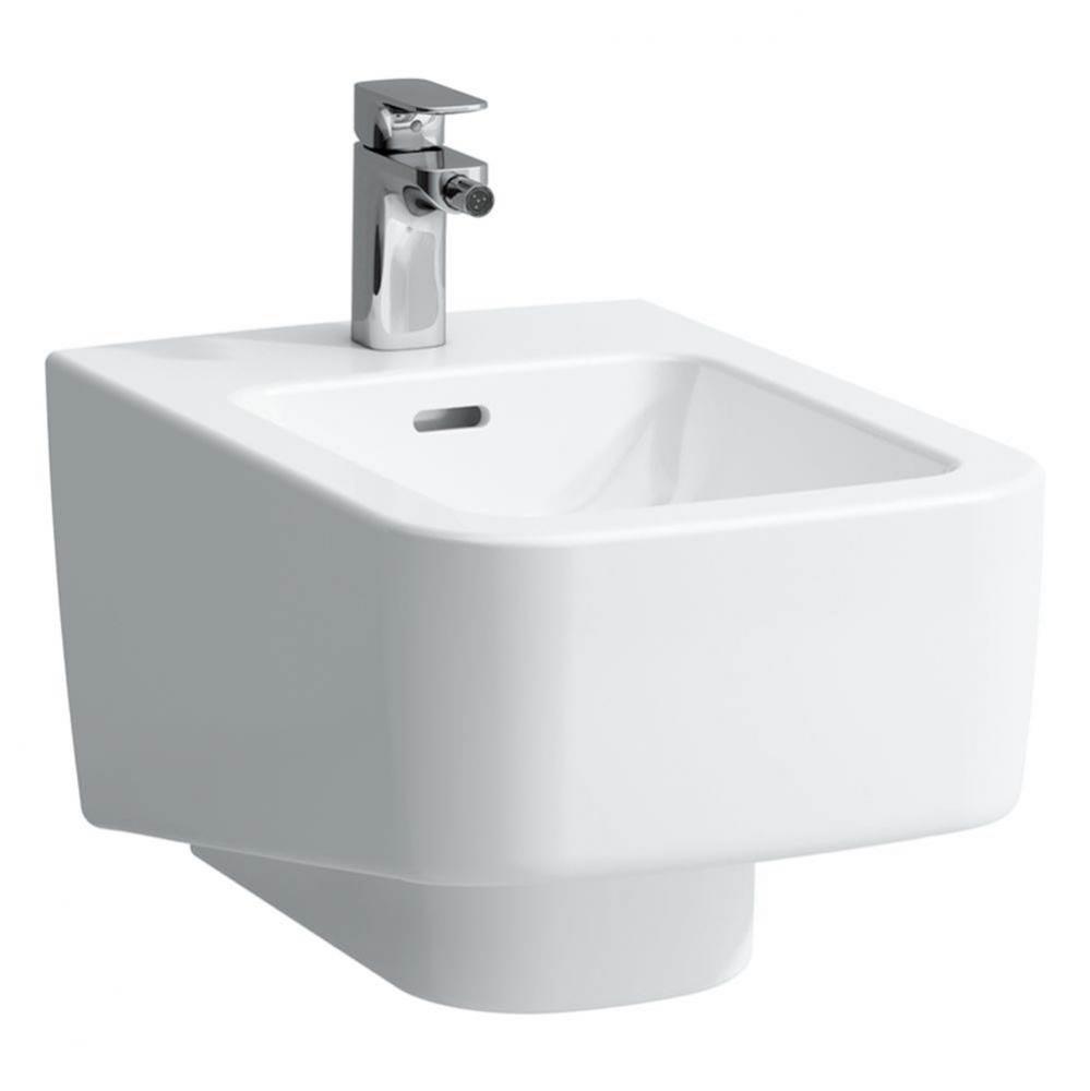 Wall hanging bidet