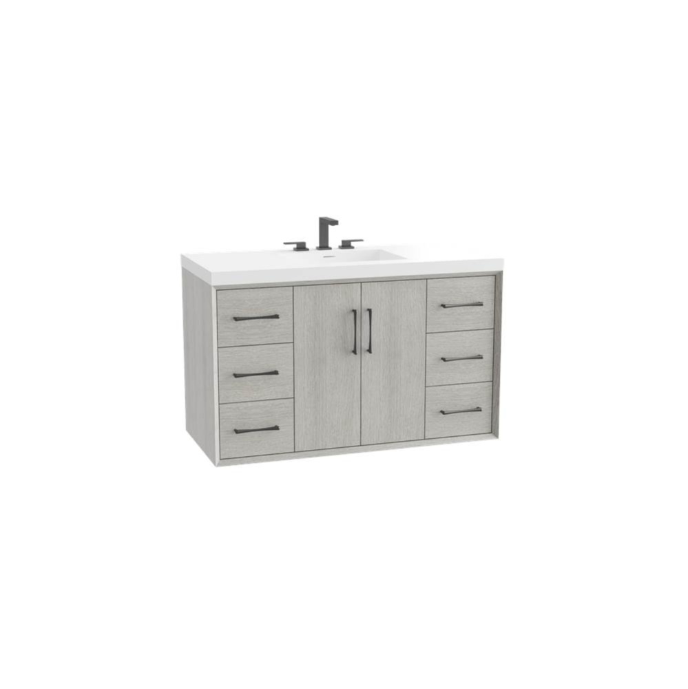 Echo 48C'' Wall Hung Vanity Cabinet in Coastal Grey/HW: Polished Chrome(PC)