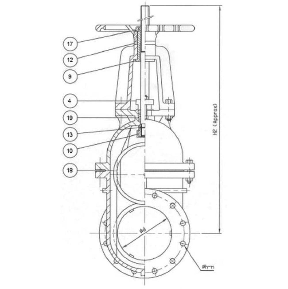2'' Flanged Ci G/V-Ibbm-Os and Y