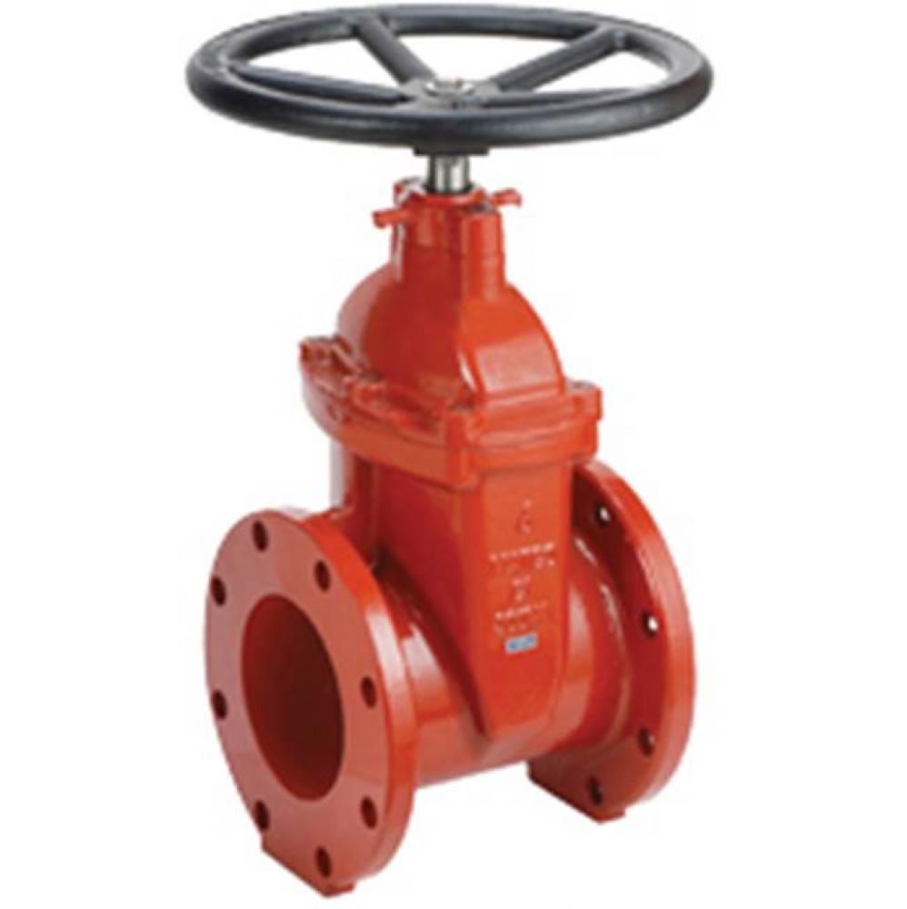 2'' Flanged Di G/V Nrs