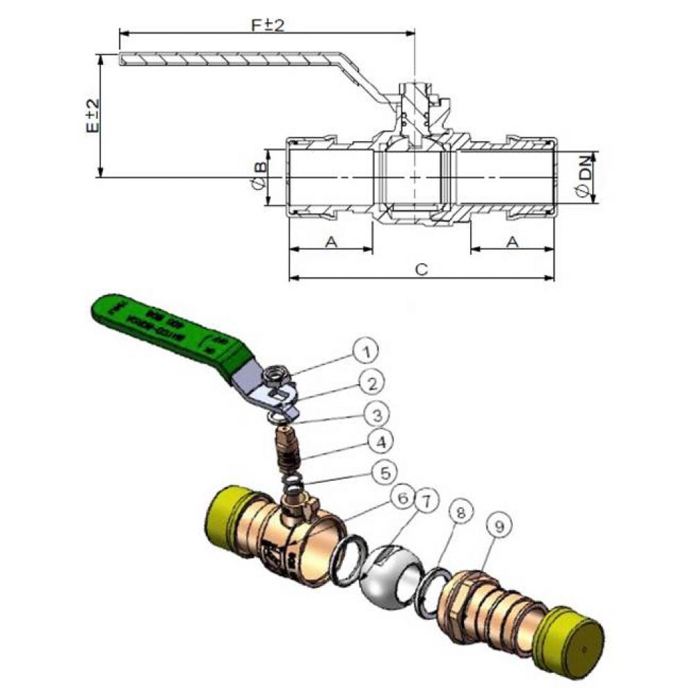 Lead Free 1-1/2'' Pex X 1-1/2'' Pex
