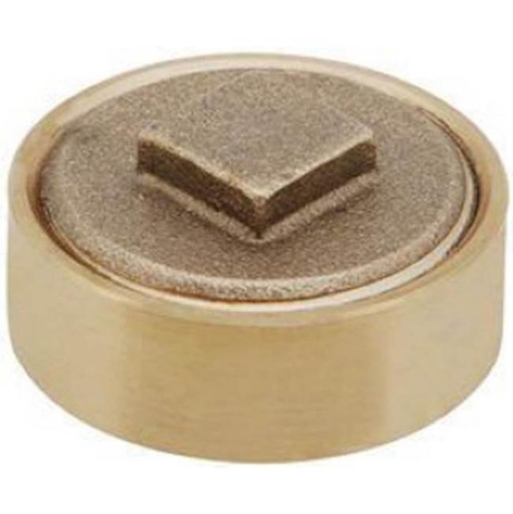 1 1/2 Flush Cleanout