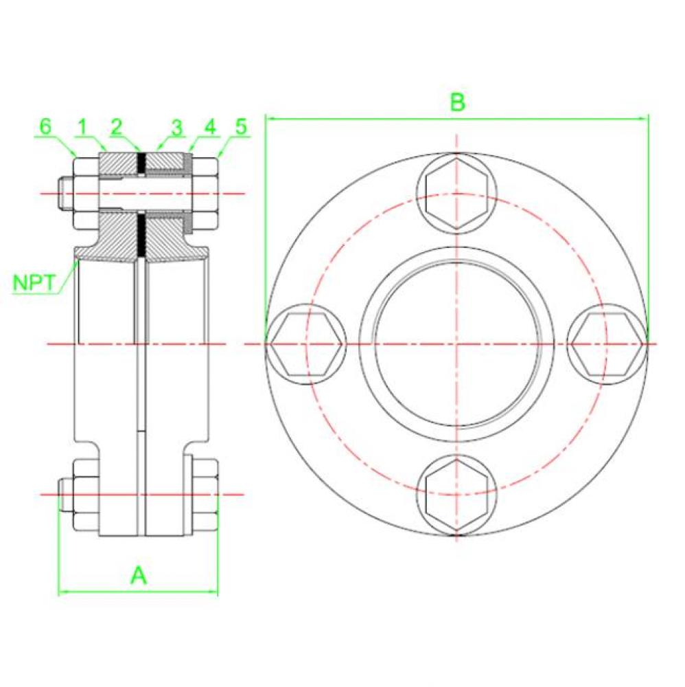 Lead Free 2-1/2'' Flanged Female