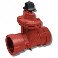 Matco Norca 10RT09 - 2-1/2'' Ring Tite Ci G/V Nrs 200Cwp Resilient Wedge,Ips Pipe Size 3 Bossings-1 Tapped An