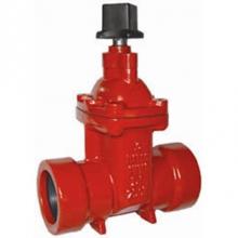 Matco Norca 200RTD08 - 2''Ips Size,Ring-Tite Di G/V Nrs