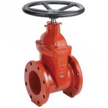 Matco Norca 200W08W - 2'' Flanged Di G/V Nrs