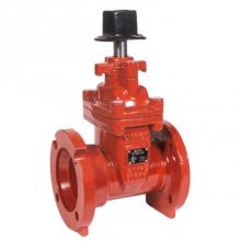 Matco Norca 225FJ10 - 3''Fl X Mj Di G/V Nrs, R/W Awwa C515