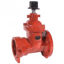 Matco Norca 225FP11 - 4''Fl X Po Di G/V Nrs, R/W Awwa C515