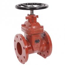 Matco Norca 225W08 - 2'' Flg Di G/V Nrs, R/W 300Psi