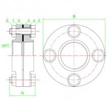 Matco Norca DUNGA09LF - Lead Free 2-1/2'' Flanged Female