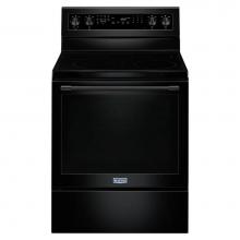 Freestanding Electric