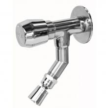 Outdoor Shower WMFS-442-ADA - Wall Mount Foot Shower - ADA Metered Valve, 1'' Shower Head