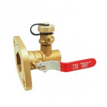 Red-White Valve 670779227207 - 2 IN Pump Flange Ball Valve,  Fixed Flange Design with Side Drain Valve Solder x Flange