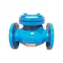 Red-White Valve 670779435305 - IRON SWING CHECK FLANGED IBBM