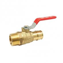 Red-White Valve 670779709727 - AB PEX F1960 X MNPT BALL VALVE