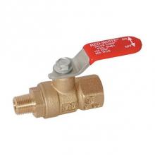 Red-White Valve 670779581019 - 1/8 fnpt x 1/8 mnpt IN 150# WSP,  600#WOG,  1/8'' FNPT x 1/8''MNPT,  Forged Br