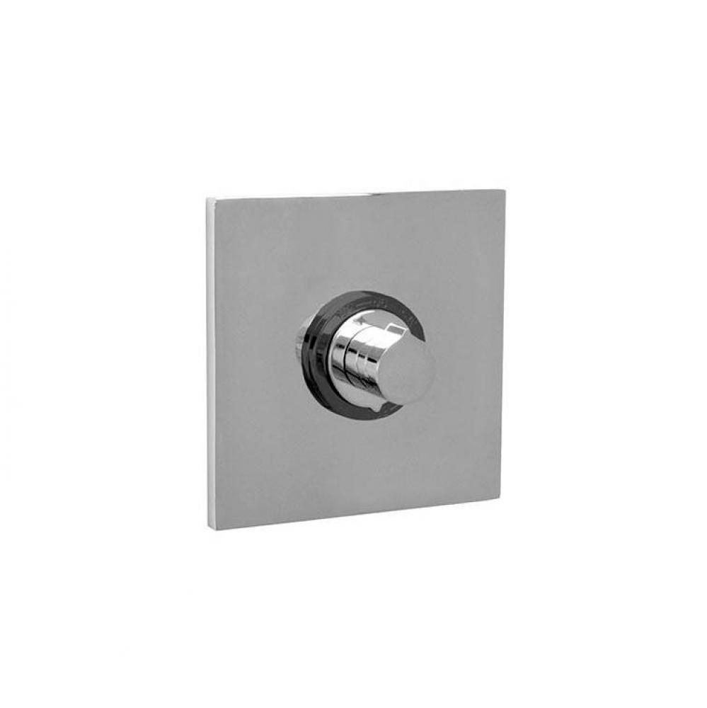 Strap Thermostatic Control 3/4'' Valve & 6-3/4'' Square Trim Plate
