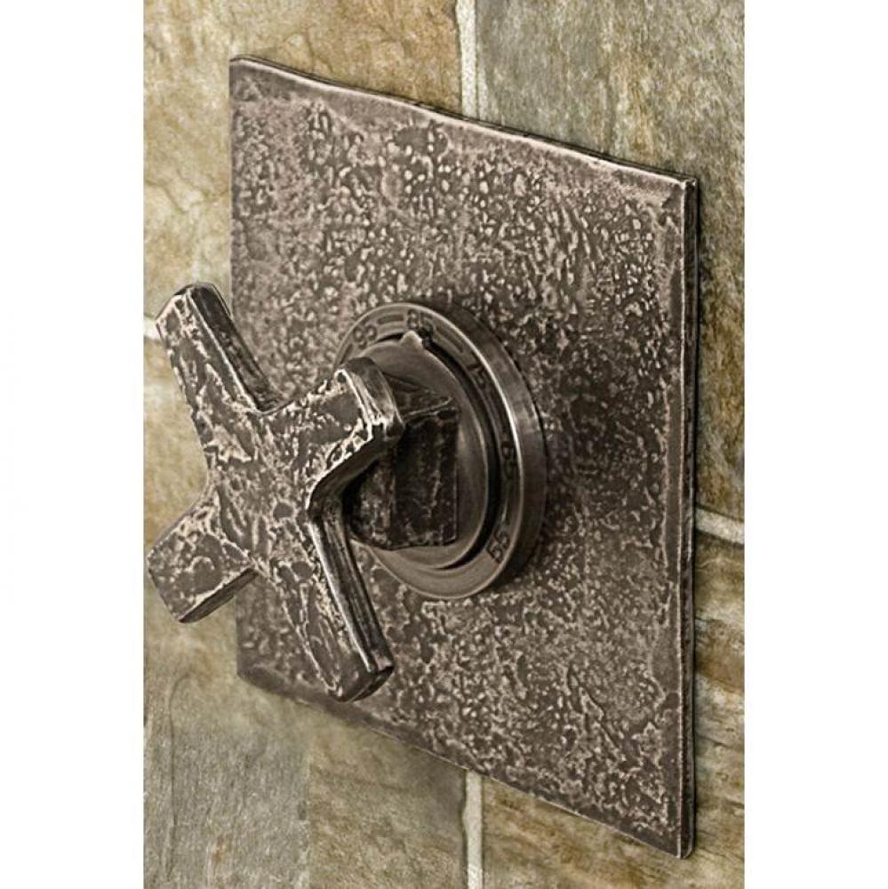 Cixx Thermostatic Control 3/4'' Valve And 6'' Square Trim Plate