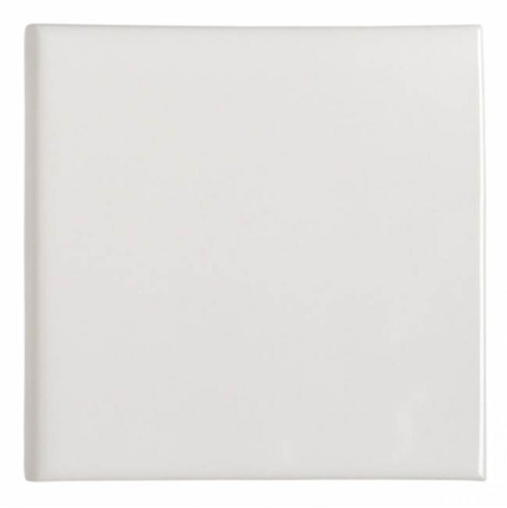 Cottage Field Tile 6 x 6 Bullnose Single in Shale Glossy