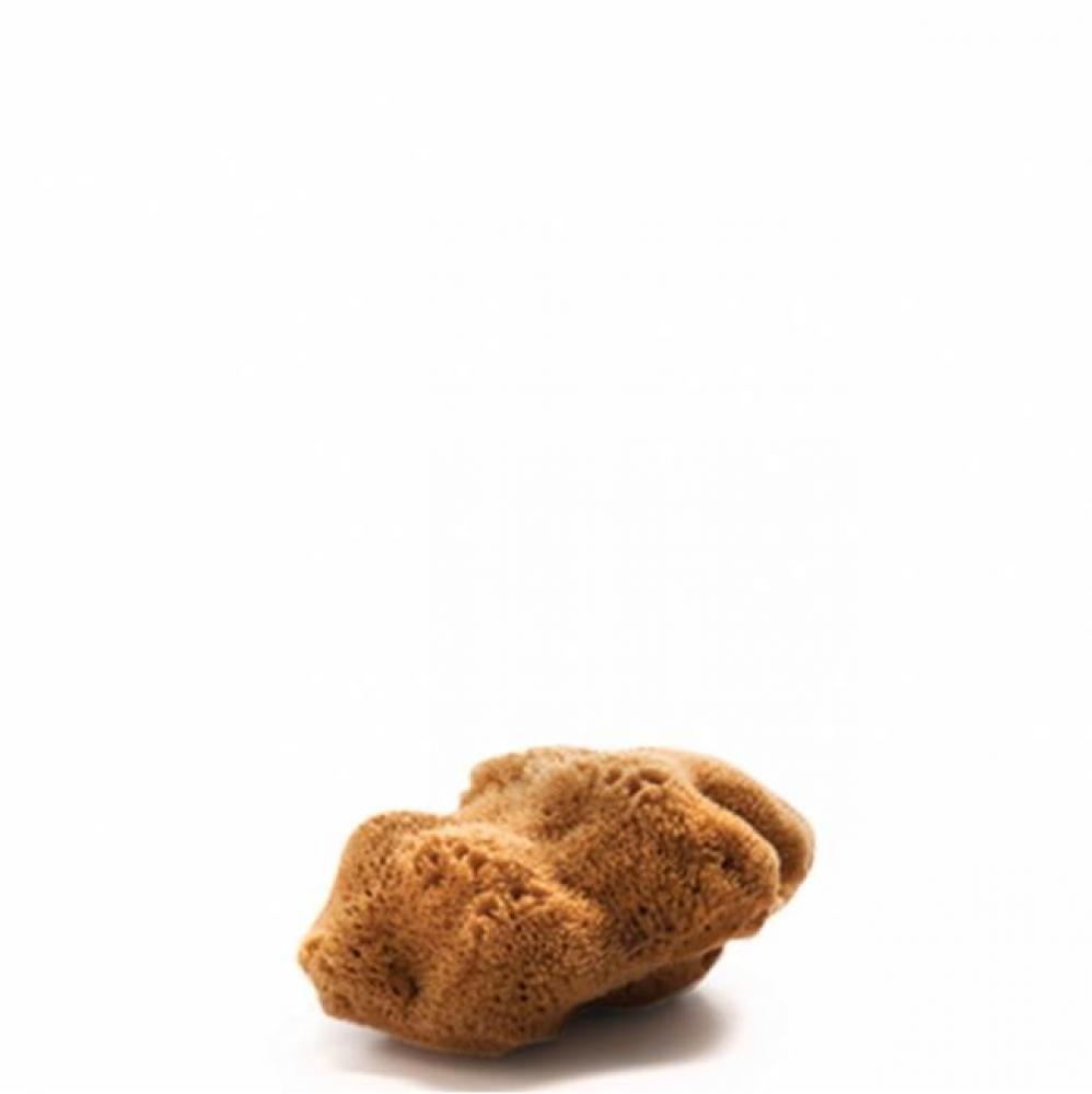 Waterworks Kitchen Mediterranean