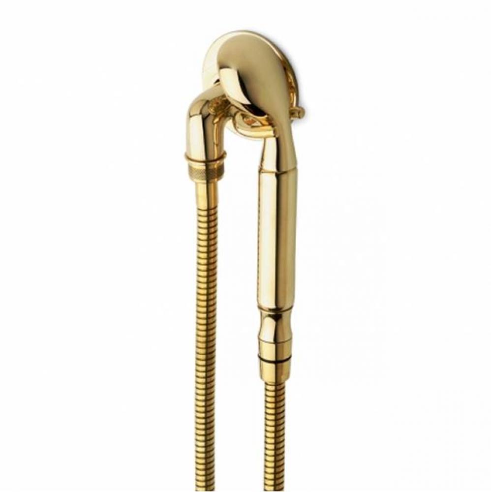 Henry Handshower On Hook with Metal Handle in Unlacquered