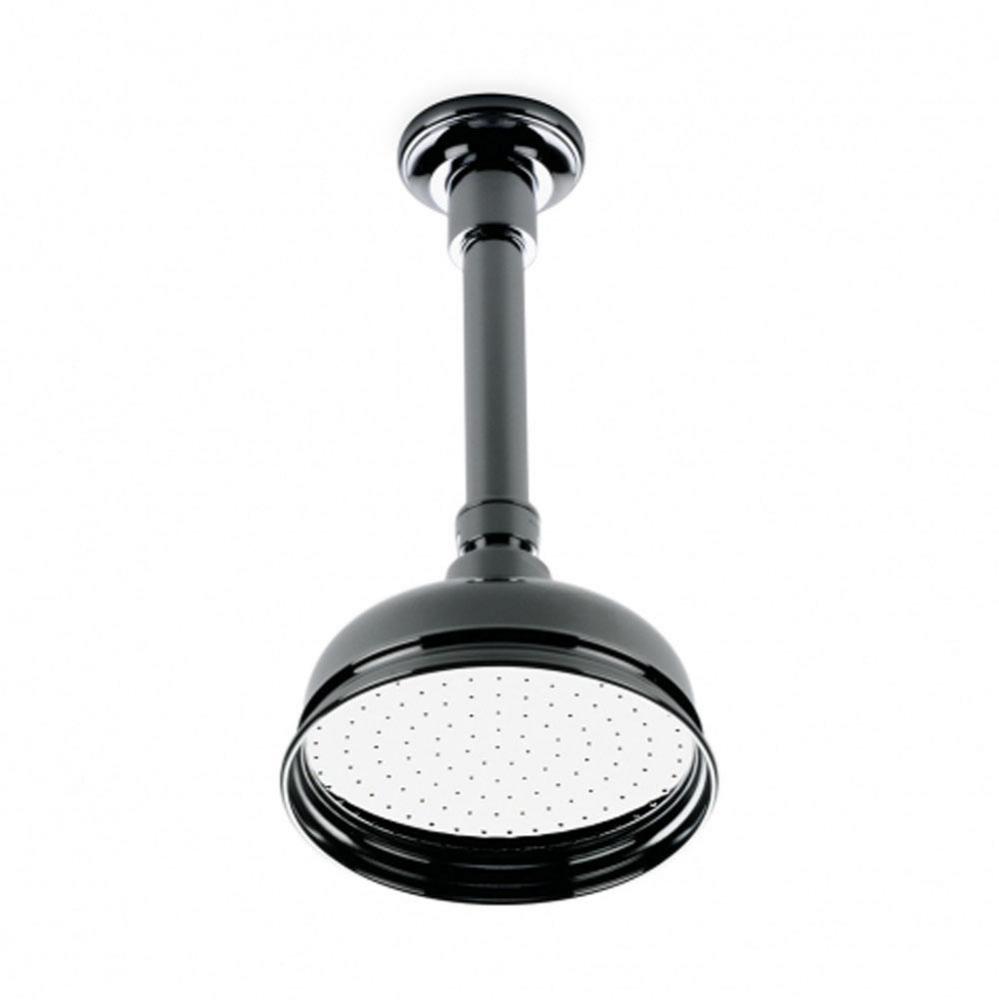 Universal Vertical Shower Arm and Flange in Chrome