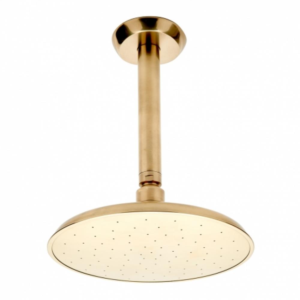 Isla Ceiling Mounted Shower Head, Arm and Flange in Burnished Nickel, 2.5gpm