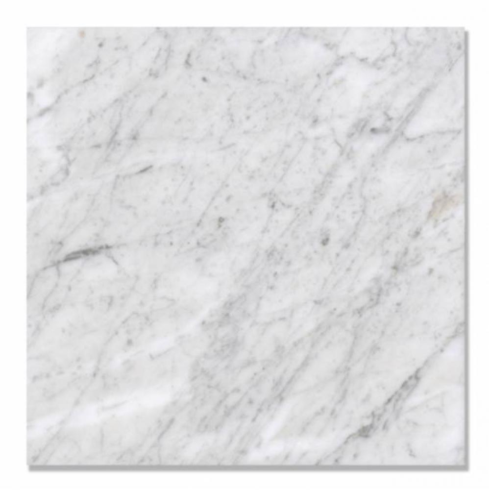 Signet Field Tile 12 x 12 x 3/8'' in Carrara