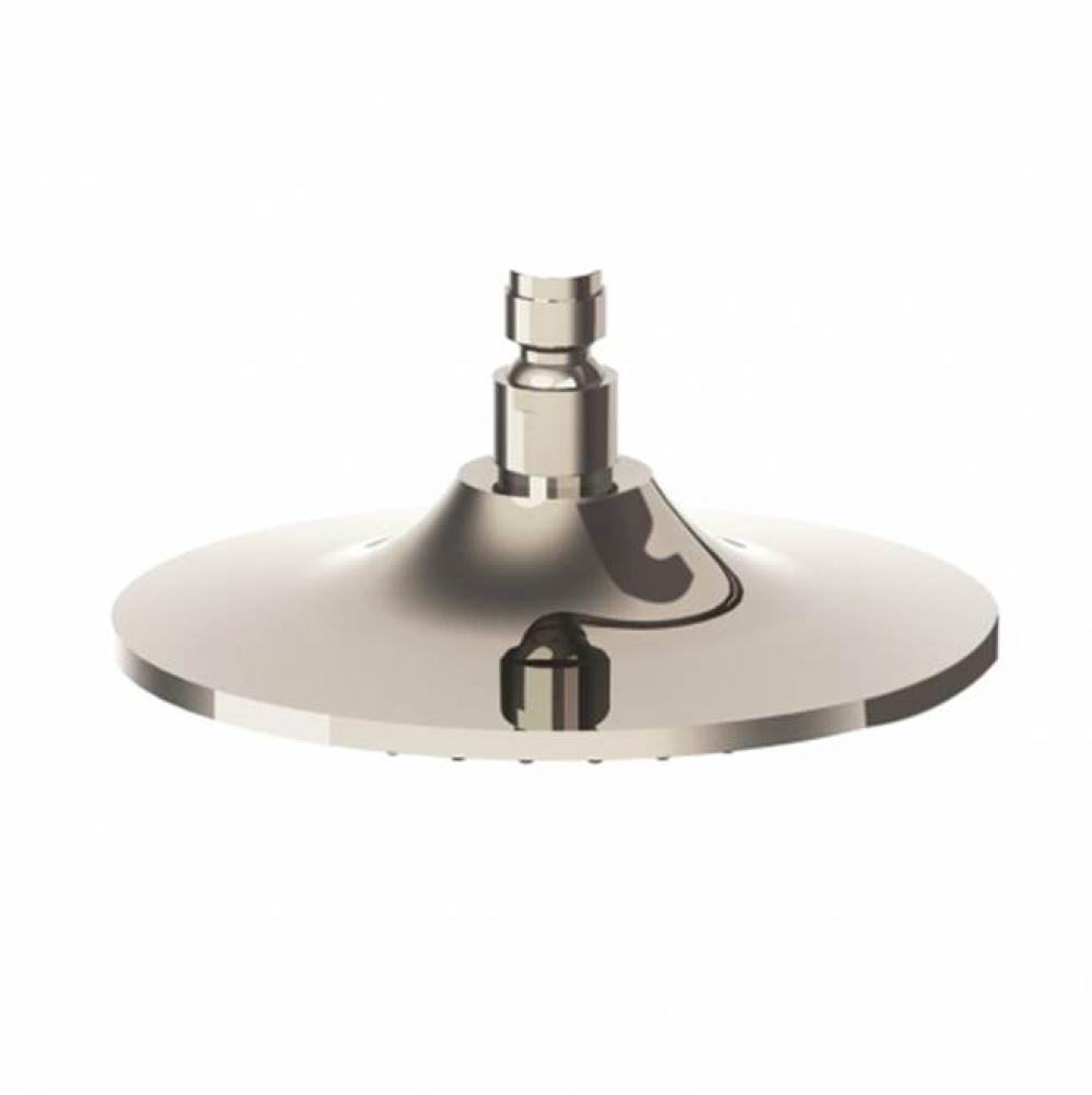 COMMERCIAL ONLY Universal 8'' Shower Rose in Brass, 2.0gpm (7.6L/min)