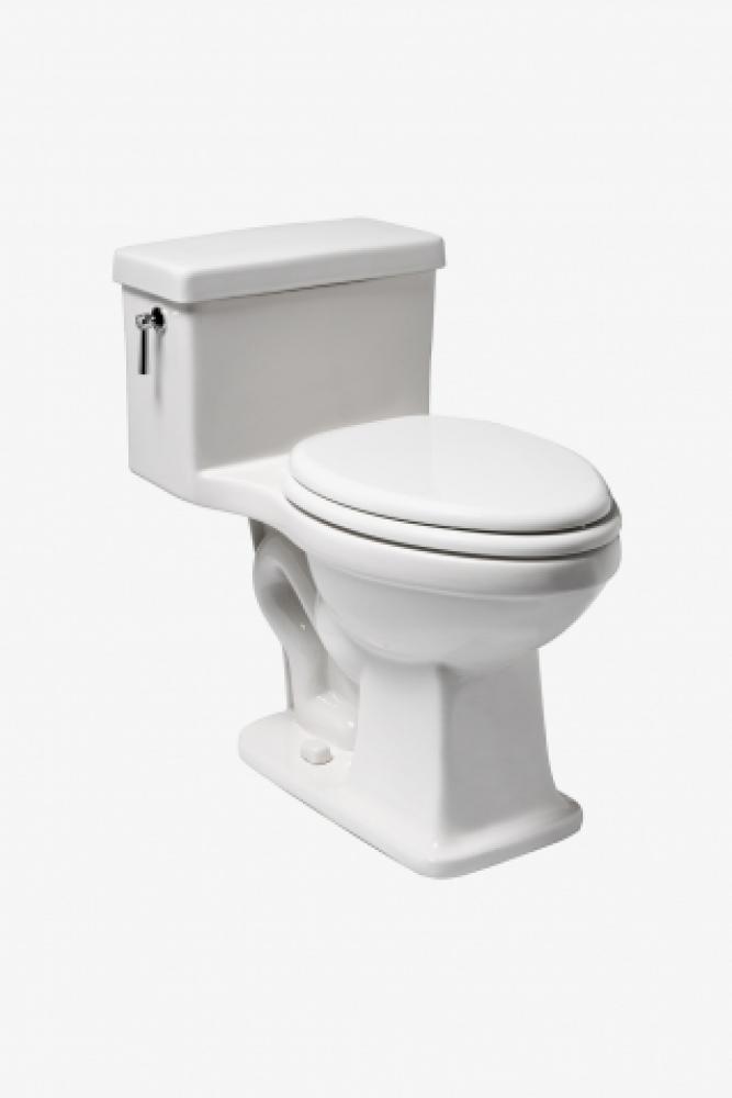 Alden One Piece High Efficiency Elongated Watercloset in Bright White with Slow Close Plastic