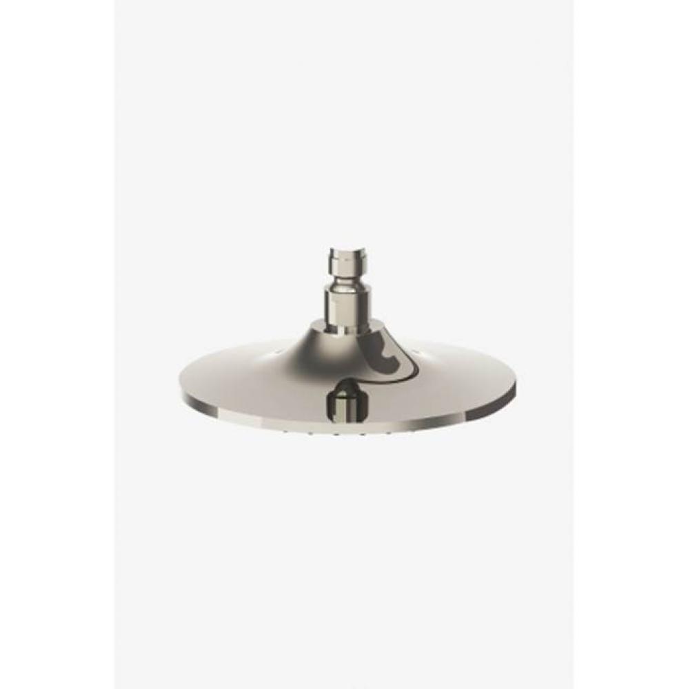 Universal 8 Shower Rose in Unlacquered Brass, 1.75gpm