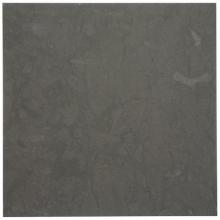Waterworks 03-15235-08683 - Keystone Field Tile 16 x 16 x 3/8 in Basalt Honed