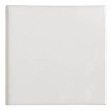 Waterworks 02-48624-12575 - Cottage Field Tile 6 x 6 Bullnose Single in Shale Glossy