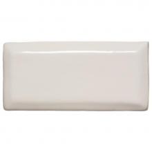 Waterworks 02-46636-76766 - Archive Field Tile 2 x 4 1/4 Beveled in White Glossy Solid