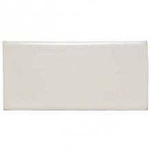 Waterworks 02-68107-44918 - Archive Field Tile 2 x 4 1/4 in Clear Glossy Crackle
