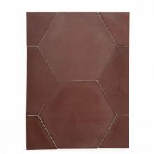 Waterworks 04-14645-23160 - Promenade Field Tile 8 x 8 Hex in Rust Matte