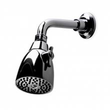 Waterworks 05-51765-03940 - Universal 2 3/4 Shower Head, Arm and Flange with Adjustable Spray in Chrome, 2.5gpm