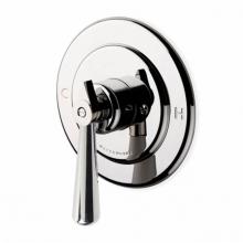 Waterworks 05-37577-59690 - Universal Round Pressure Balance Control Valve Trim with Metal Lever Handle in