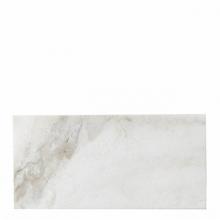Waterworks 03-75234-15487 - Studio Stone Field Tile 3 x 6 x 3/8'' in Alpina Polished