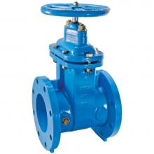 Watts Water 0700103 - Gate Valve