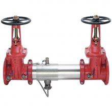 Watts Water 0111587 - Reduced Pressure Zone Assembly