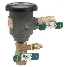 Watts Water 0792025 - Anti-siphon Vacuum Breaker