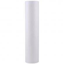 Watts Water 7100330 - Depth Filter