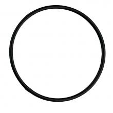 Watts Water 7300398 - O-ring For Full Flow Housing