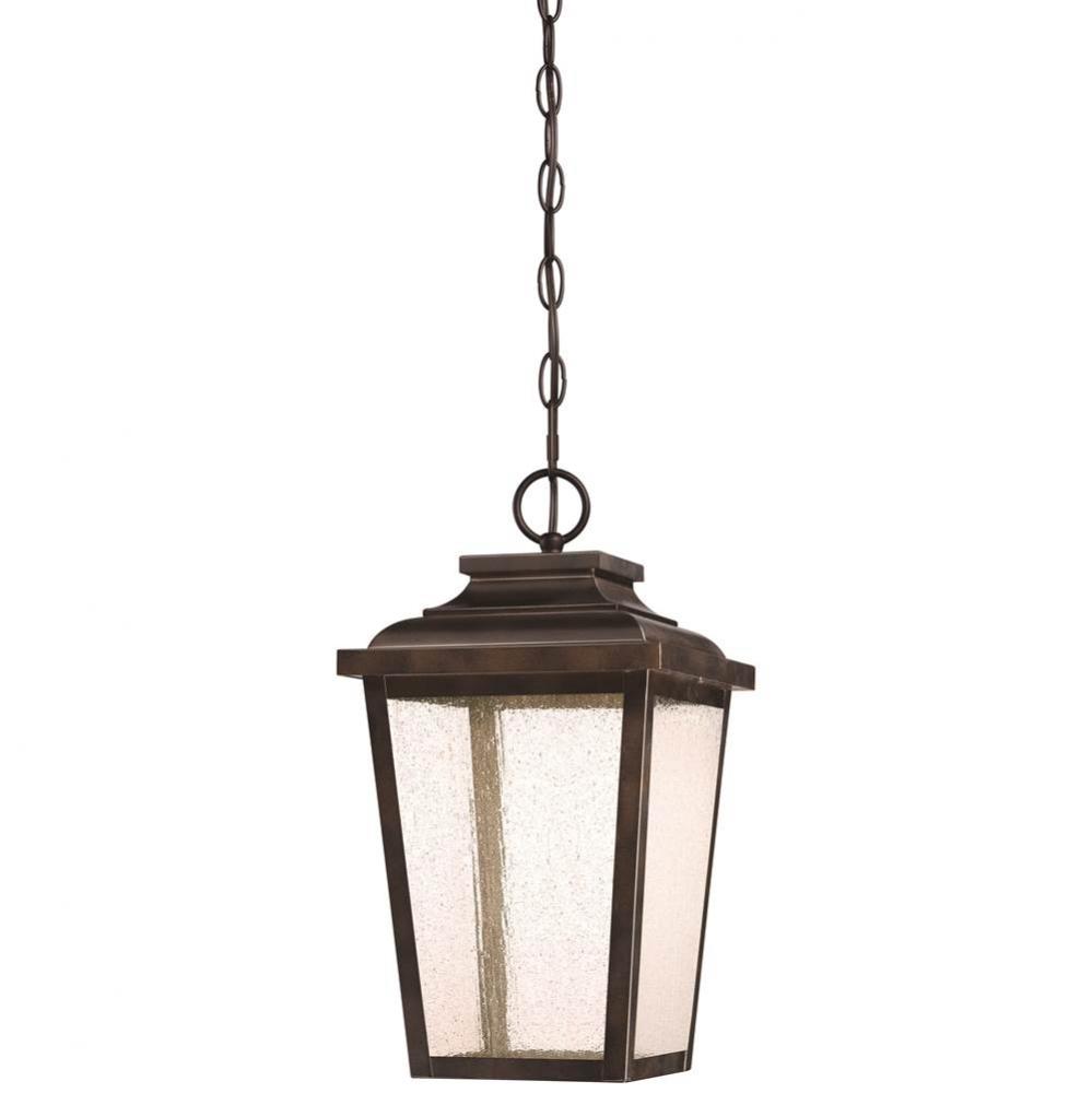 Outdoor Chain Hung Led