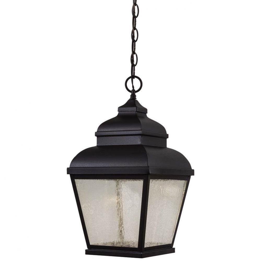 1 Light Outdoor Led Chain Hung