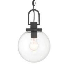 The Great Outdoors 73364-66 - 1 Lt Outdoor Pendant