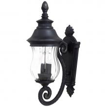 The Great Outdoors 8900-94 - 2 Light Wall Mount